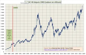 Carrefour (Google)