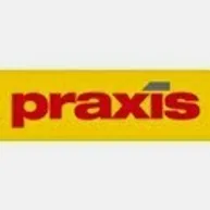 Praxis Bouwmarkt Dieren (Google)
