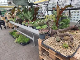 Praxis Mega &amp; Tuin Leeuwarden (Google)